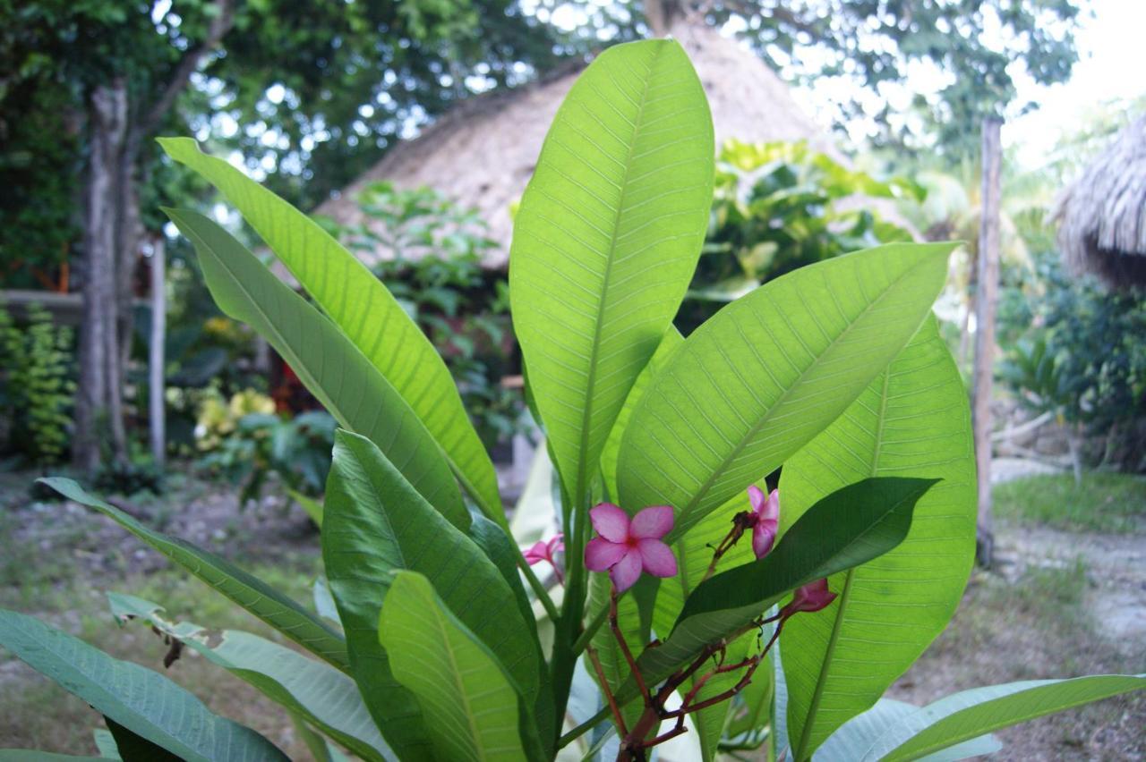 Hotel Pancho Villas Bacalar - Free Bikes And Paddles Exterior photo